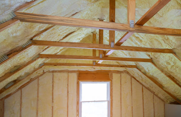 Best Residential Insulation in Balfour, NC