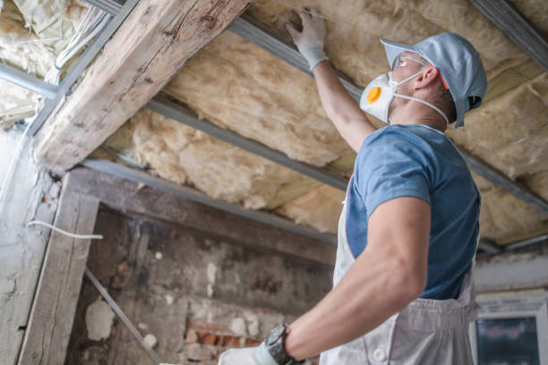 Best Insulation for Specific Applications in Balfour, NC