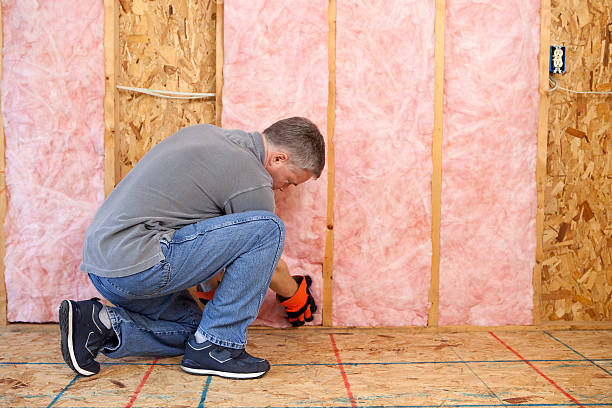 Best Insulation Maintenance and Repair in Balfour, NC